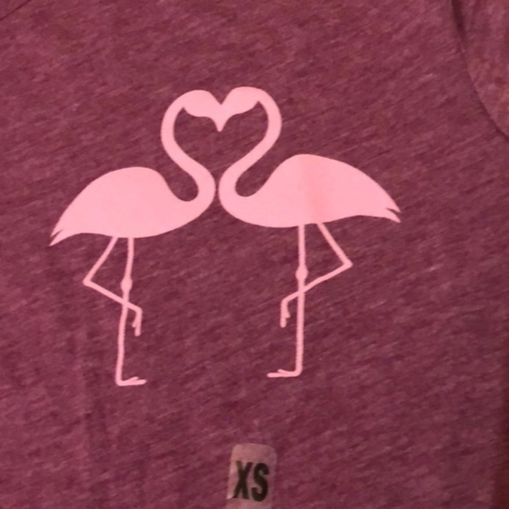 🎀NWT AWAKE BRAND FLAMINGO TEE SIZE XS 🎀 - Picture 2 of 6